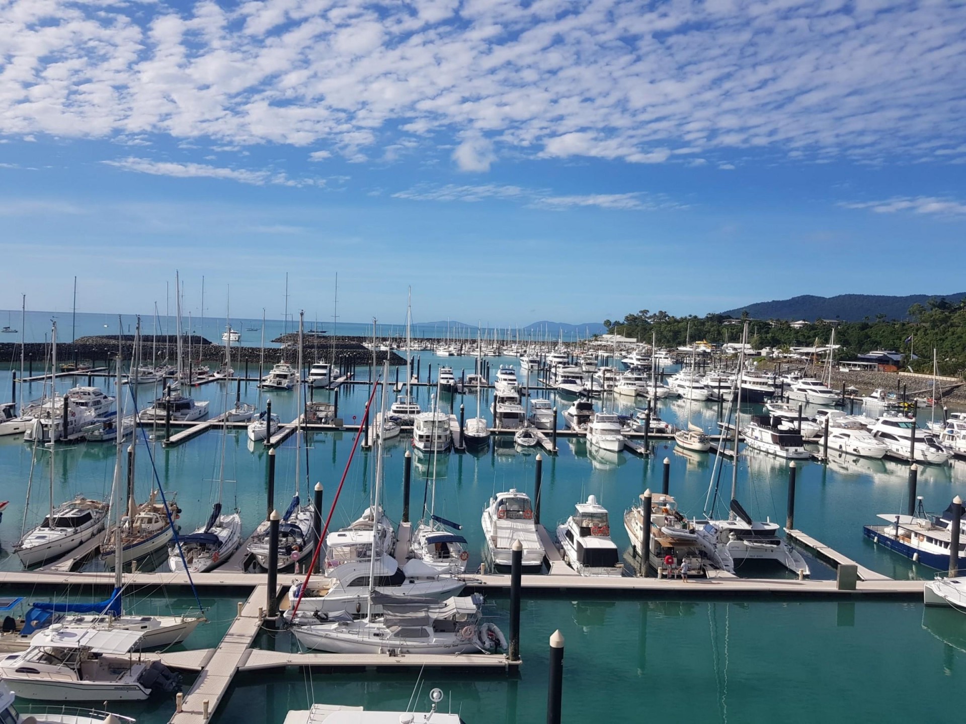 Marine Electronics Dealer for sale in Airlie Beach Queensland Bsale
