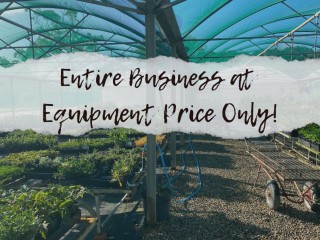 Whole Business at Equipment Price Only!