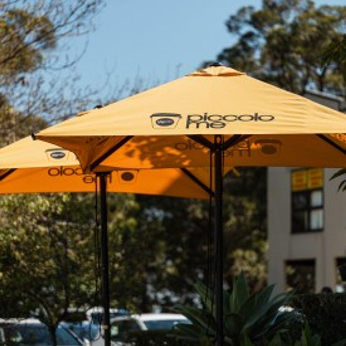 New Piccolo Me Franchise For Sale Greater... for sale in Sydney New