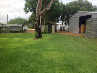 HORTICULTURAL Hydroponic Business FREEHOLD !!