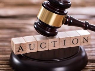 Auction Business – For Sale