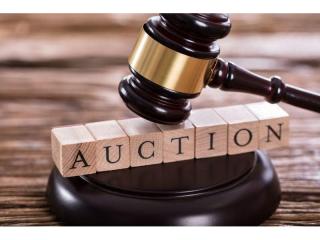 ​Auction Business – For Sale