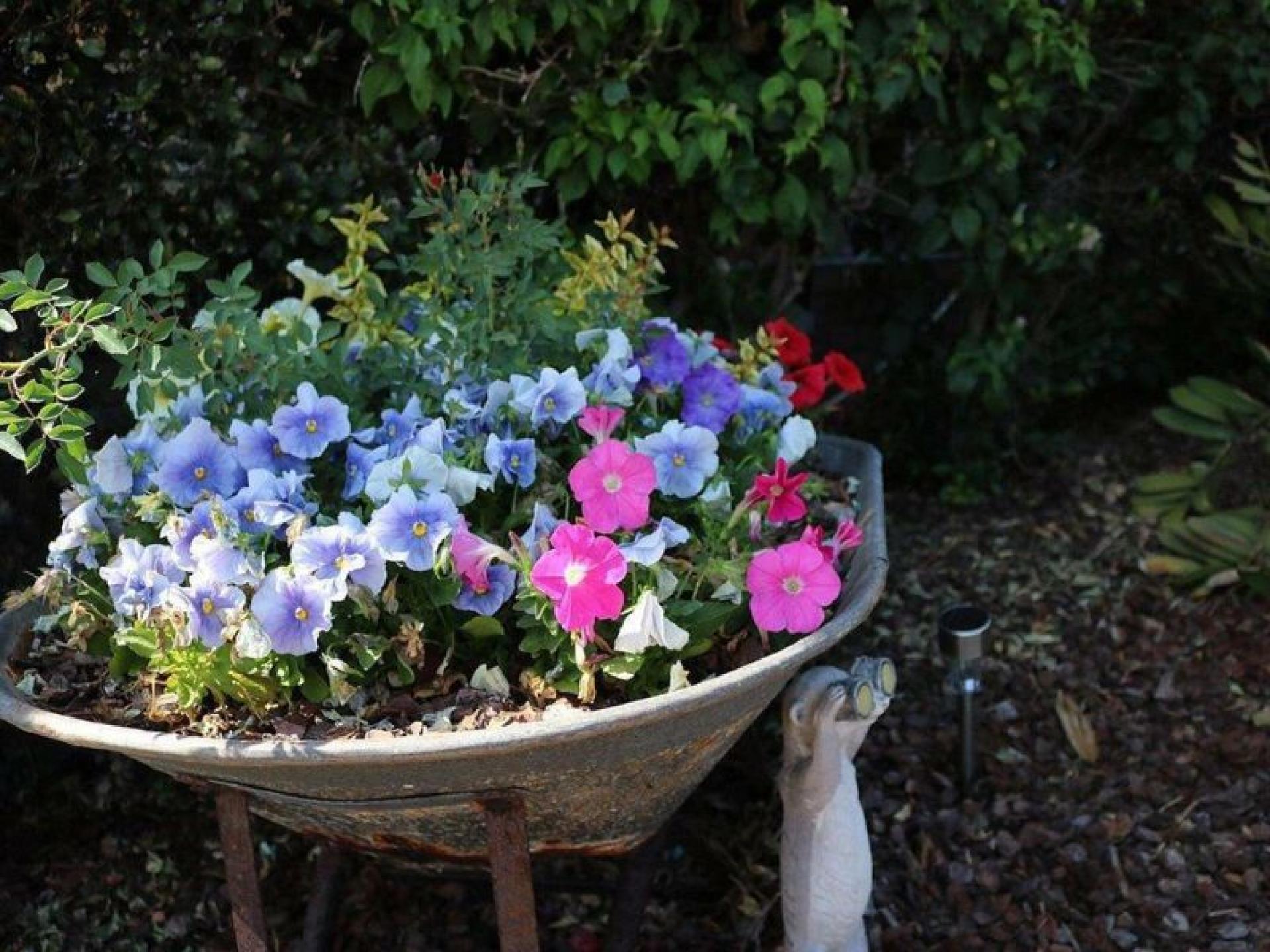 Consistently Profitable Easy To 583027 3