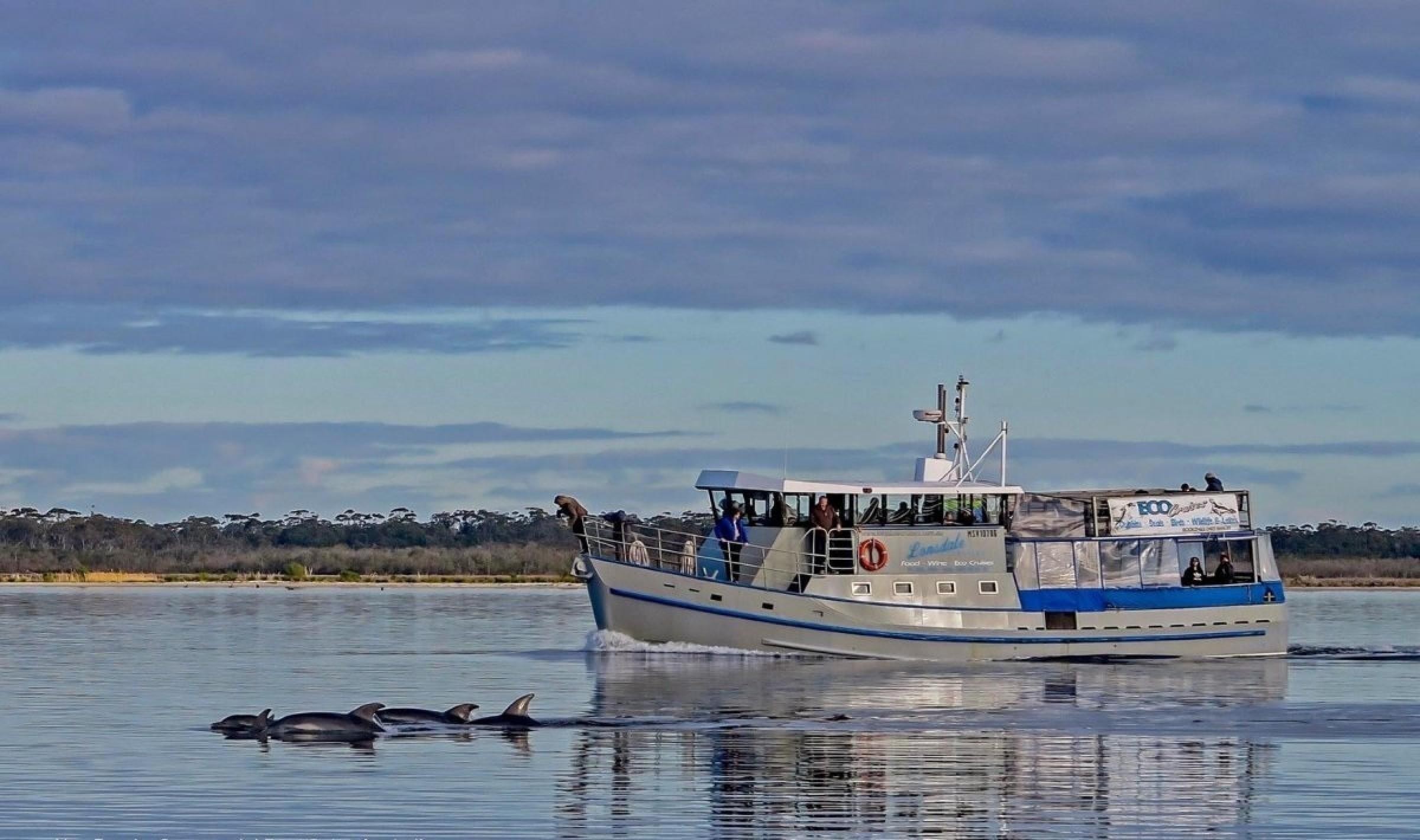 Boat Cruise Business For 671633 1