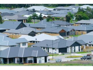 Thriving Trade Based Business with Proven Profit and Growth Path