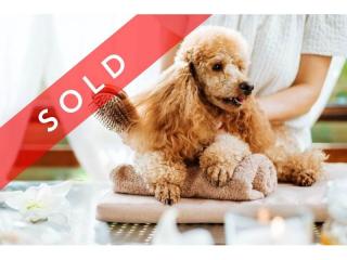 SOLD! Dog Daycare & Grooming Business SOLD!
