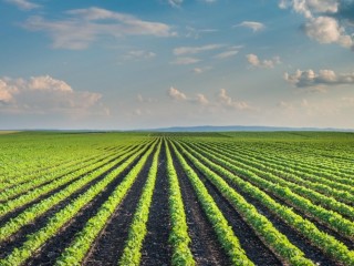 Long established natural organic supplement business