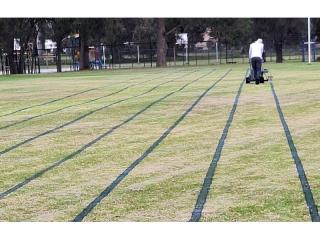 Sports Field Line Marking Business for Sale in Perth