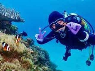 Professional Scuba Retailer