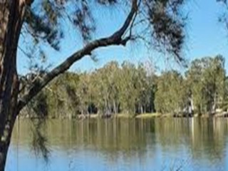 Supermarket/Newsagency Northern end of the Central Coast. Easy to run and very profitable.