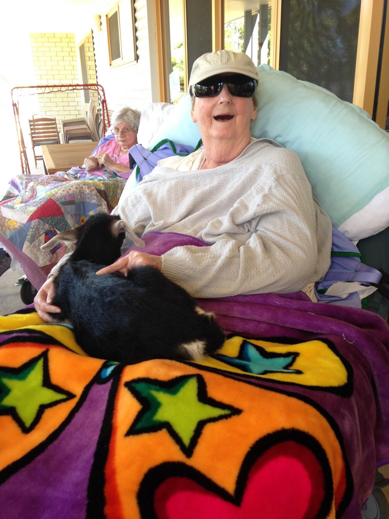 Old Macdonald's Travelling Farms- 532593 3