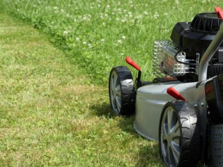 Property Cleaning and garden maintenance business