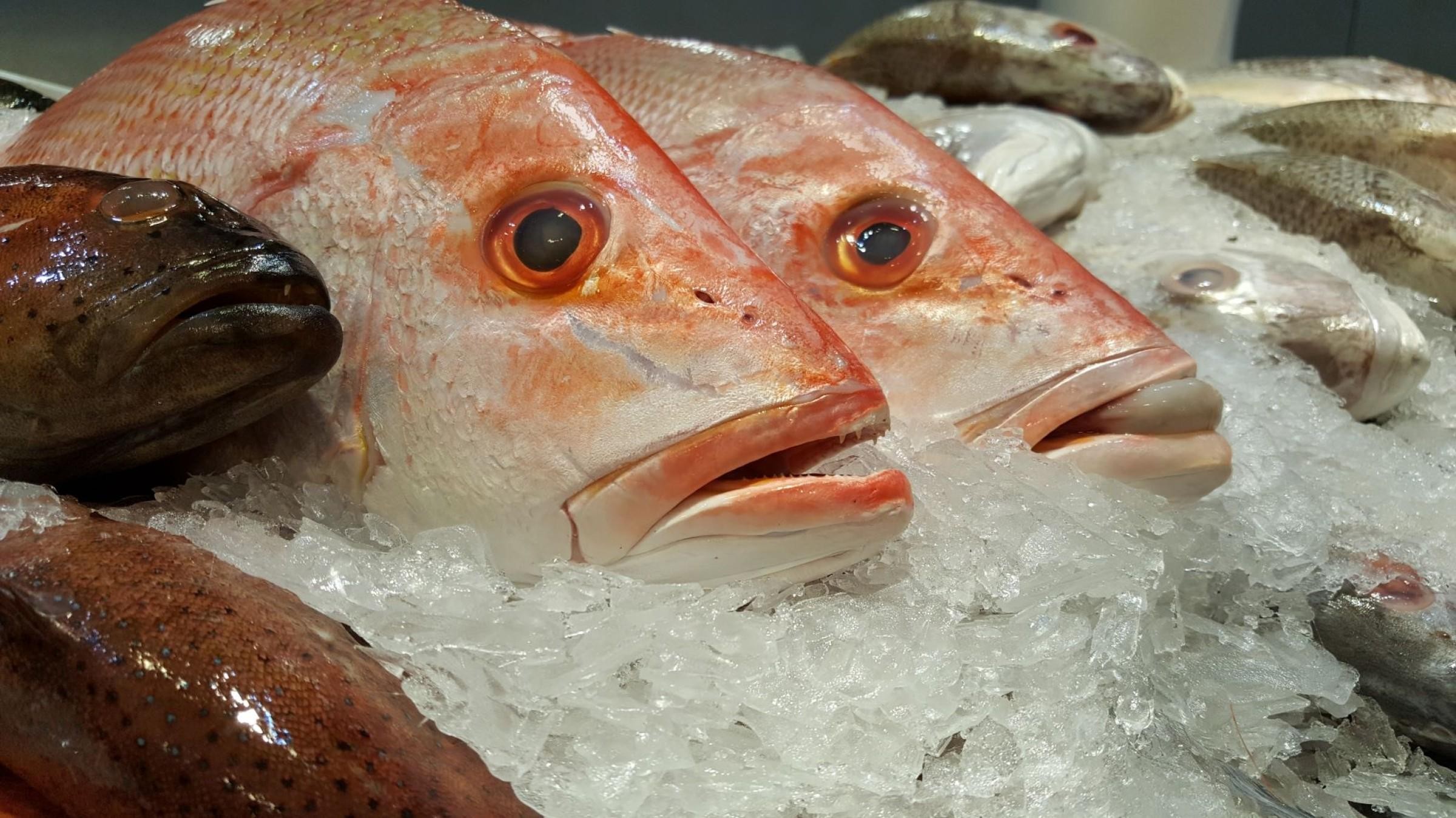 "iconic Fish & Chips" 671114 1