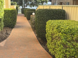 Property Maintenance