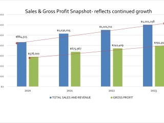 Fortune Forger: Forging Financial Success (GN12372Q)
