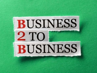 Profitable Biz -B2B Services For Sale in South West Sydney Suburbs