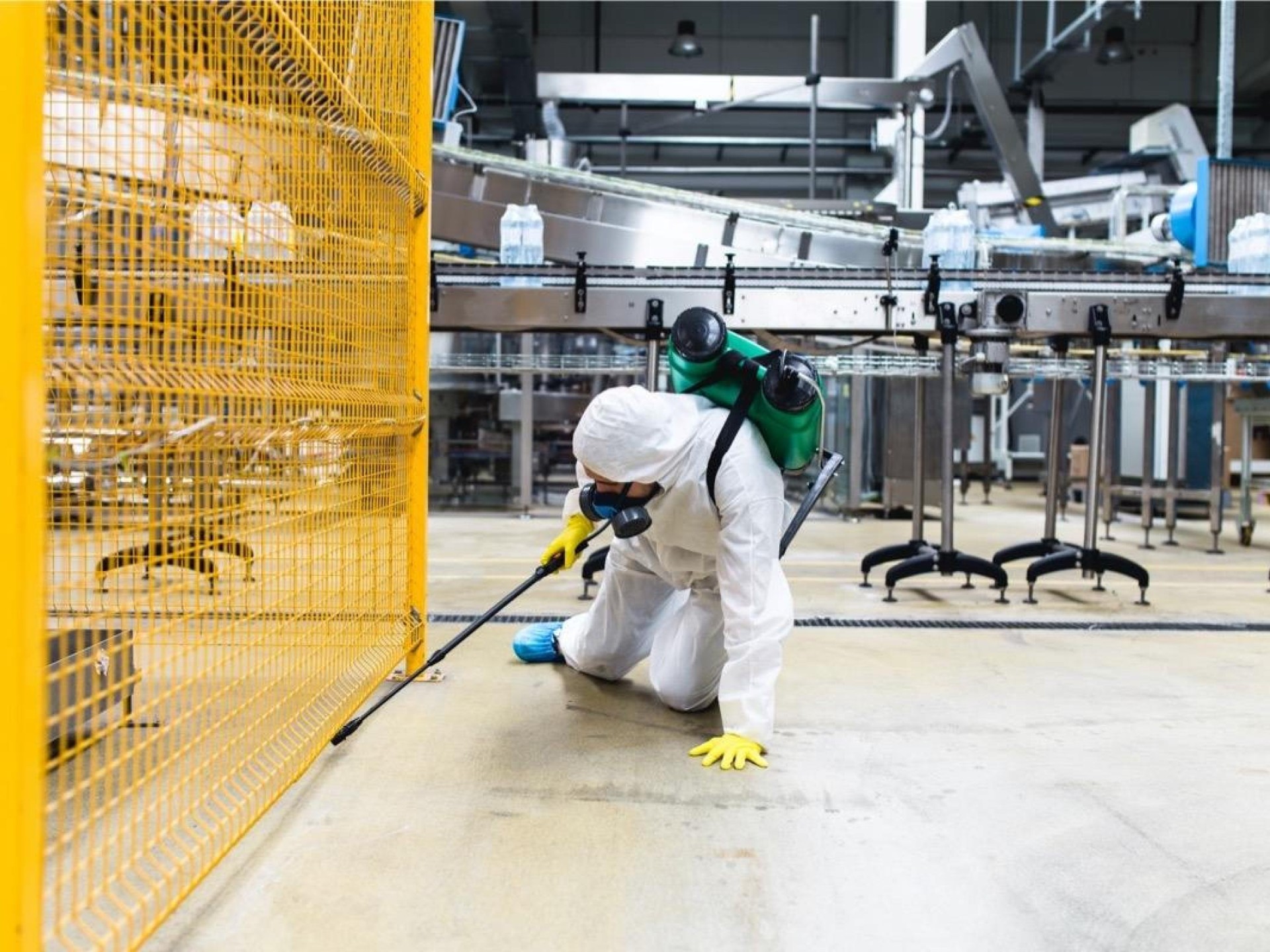 Pest Control Business Caboolture for sale in Sunshine Coast Queensland