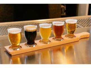 BREW YOUR DREAM BUSINESS SYDNEY'S PREMIER HOME BREWING HUB FOR SALE