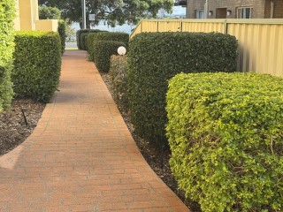 Property Maintenance