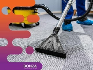 34544 Carpet Cleaning & Pest Control Business - Profitable Opportunity