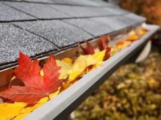 Highly Profitable Gutter Cleaning Business