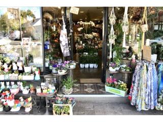 Award-Winning Online and Retail Florist – Balmain, NSW