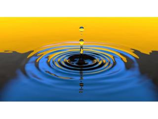 Leading & Established Irrigation Business For Sale