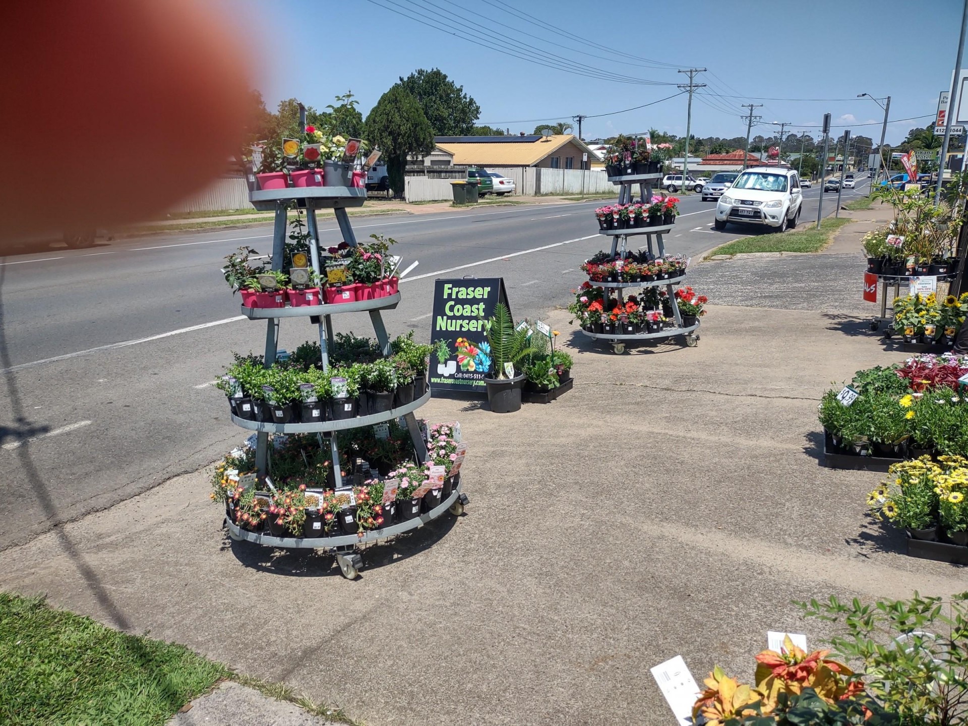 Quality Stocked Nursery This 561507 2