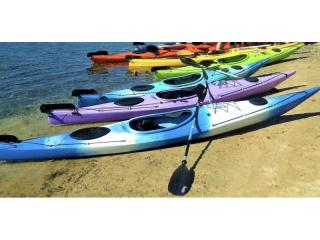 Australis Canoes – Expressions Of Interest by 23rd of November 2025